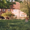 Stable Cottage