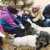 Snettisham Park Farm