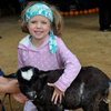 Church Farm Rare Breeds Centre