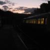 Halloween Week - North Norfolk Railway