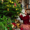 An Audience with Father Christmas - Holkham Hall