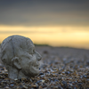 Cley 19 Contemporary Art