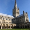 Norwich Science Festival
