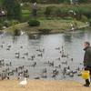 Trick of Tweet - Pensthorpe