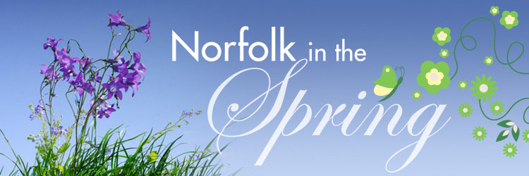 Gsn-norfolk-in-the-spring